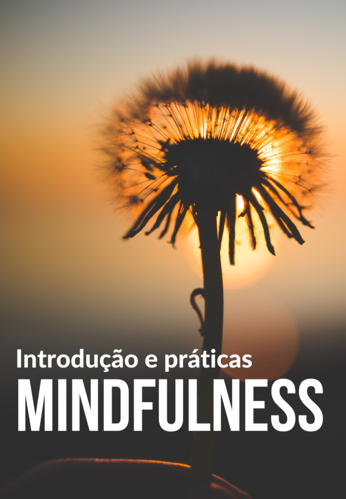 Curso introdução e práticas de mindfulness